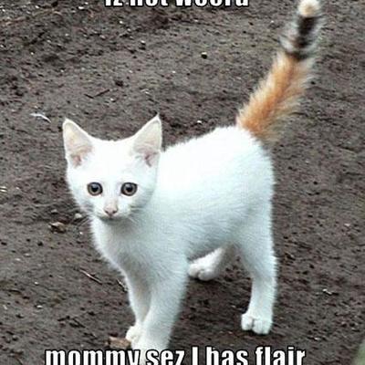 Timeline: The story of me