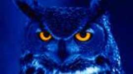 Timeline: The magic timeline