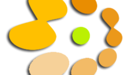 Timeline: wettnetzwerk History