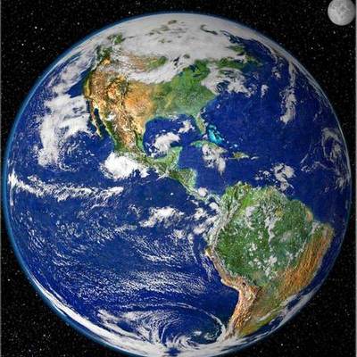 Timeline: Semana do Meio Ambiente