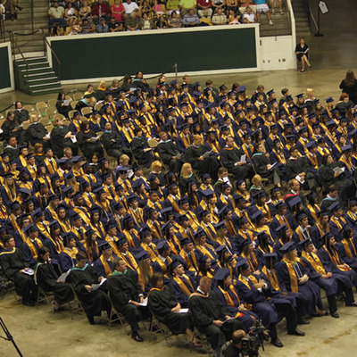 Timeline: Amy's Unforgettable Adventure