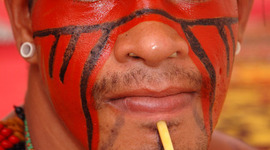 Timeline: Eliot Van Horne Brazil Timeline