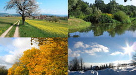 Timeline: The Four Seasons