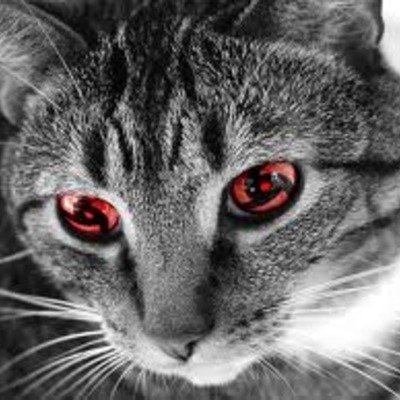 Timeline: linea del tiempo de wilmar blanco