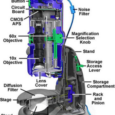 Timeline: History of the Microscope