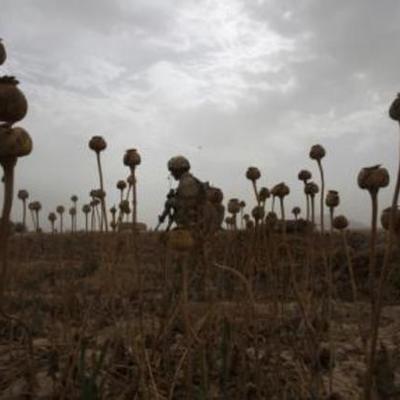 Timeline: CRONOLOGIE: Razboiul din Afganistan