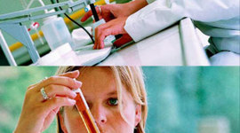 Timeline: HISTORIA: CONTROL DE CALIDAD