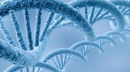 Timeline: Progression of DNA technologies