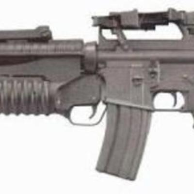 Timeline: Amreica's Rifle