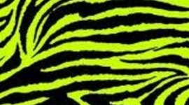 Timeline: Cali's Timeline :)