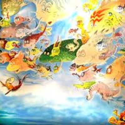 Timeline: D.B and Server Work at the USAID