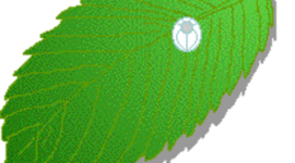 Timeline: Caterpillar egg