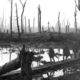 300px chateau wood ypres 1917