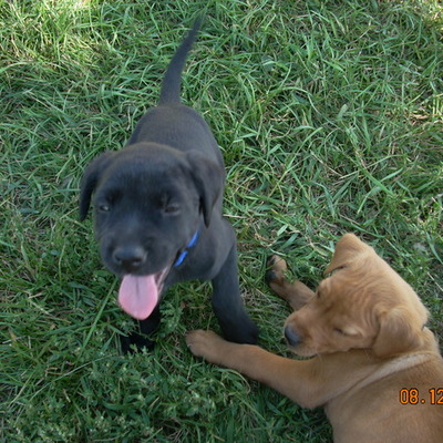 Timeline: My Summer Schedule