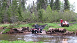 Timeline: Bear Hunting 2011