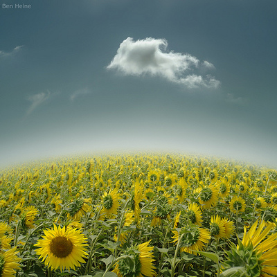 Timeline: FABRA ALFA