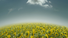 Timeline: FABRA ALFA