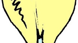 Timeline: The History of Energy