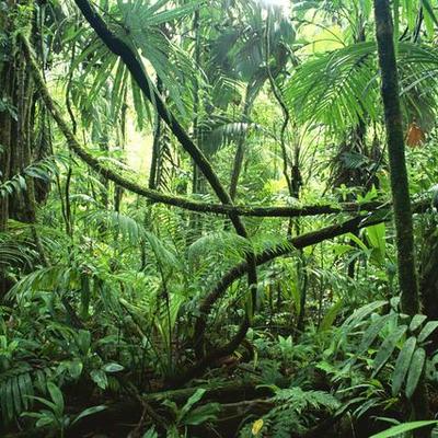 Timeline: The Most Dangerous Game