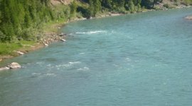 Timeline: Summer 2011