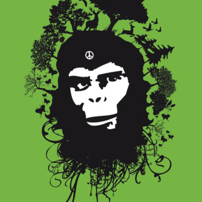 Timeline: Greenpeace