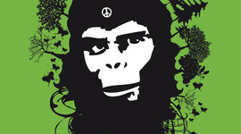 Timeline: Greenpeace