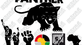 Timeline: BLACK PANTHERS