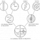 Space time energy