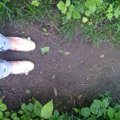 Timeline: 101 goals in 1001 days