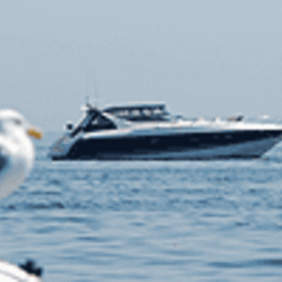 Timeline: Dragonfly Adventure Cruises September 2008 Calendar