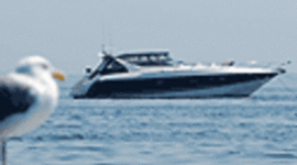 Timeline: Dragonfly Adventure Cruises September 2008 Calendar