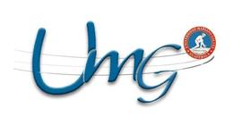 Timeline: VIII SEMESTRE _ECON_POL_UMG