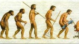 Timeline: Dominguez TICs