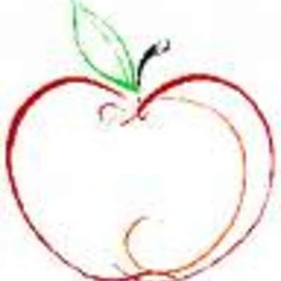 Timeline: My Career Timeline