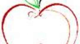 Timeline: My Career Timeline