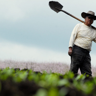 Timeline: Escándalo de Agro Ingreso Seguro