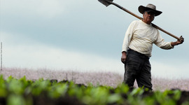 Timeline: Escándalo de Agro Ingreso Seguro