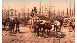 Timeline: Expansion & Reform