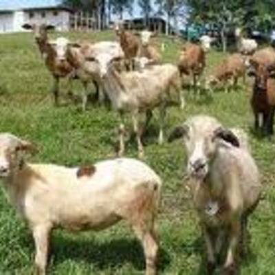 Timeline: FRONTERA DE POSIBILIDADES DE PRODUCCION, es el conjunto de la combinacion de todas las posibilidades que hy para desarrollar la maxima produccion de bienes y servicios en base a los factores productivos existentes durante un periodo dado.