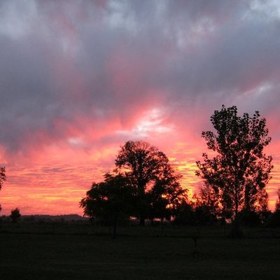 Timeline: Common Core Language Progression Skills by Grade Level