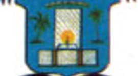 Timeline: Historia de Tamayo