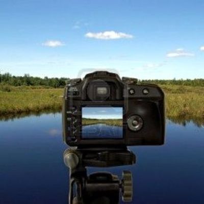 Timeline: No hay botón de "reset" en la vida