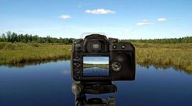 Timeline: No hay botón de "reset" en la vida