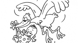 Timeline: cuando naci