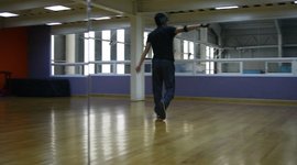 Timeline: Biography Vizu