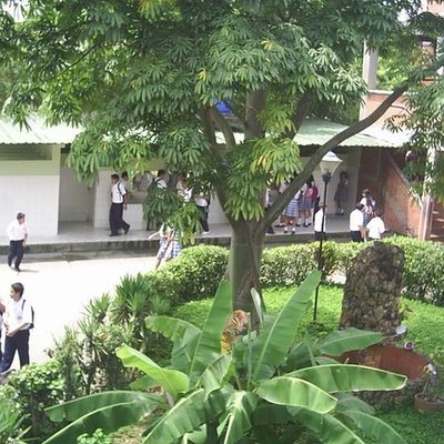 Timeline:  La Institución Educativa Provenza