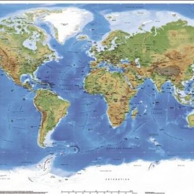 Timeline: The Human Shields Movement