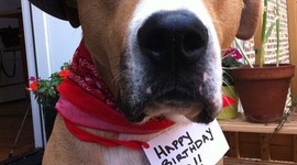 Timeline: Life and Times of Lawrence O. Brown