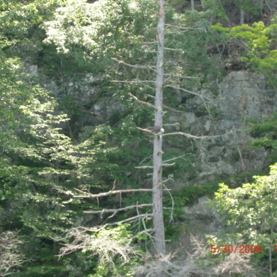 Timeline: Linda Birthdays