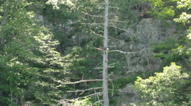 Timeline: Linda Birthdays